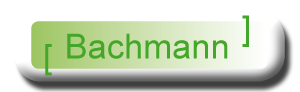 bachmann-ladeg_ter